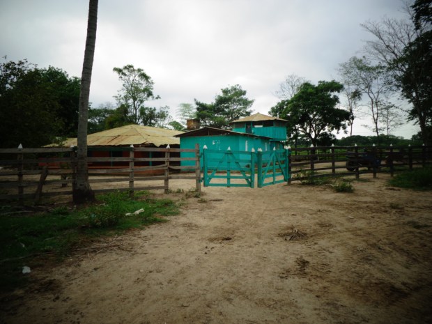 La finca de l'entreprise ©Judith Bovard/2015