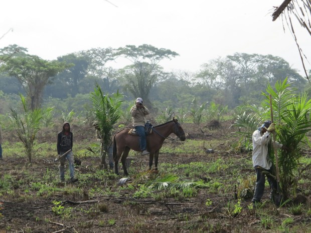 Les travailleurs de l’entreprise sont toujours accompagnés d’un photographe qui nous mitraille le portrait en permanence ©Judith Bovard/2015
