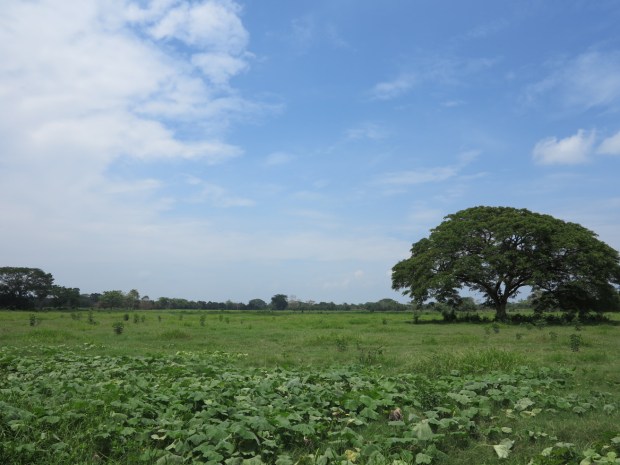 Légende ©Judith Bovard/2015