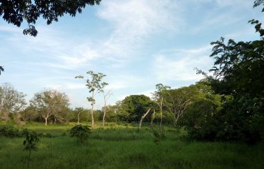 Le paysage qui nous entoure