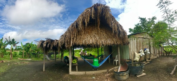 Photo 02-10-2017, 09 17 18